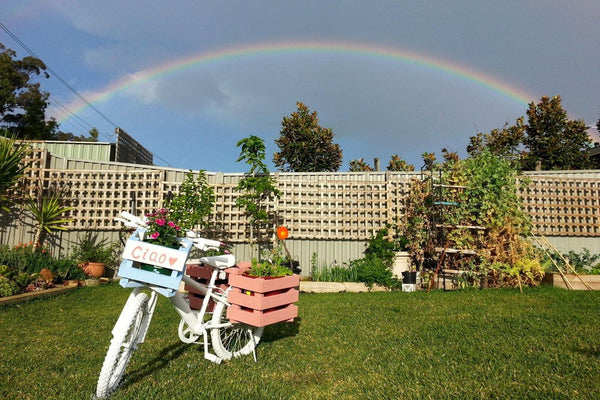 from trash to treasure, bicycle garden, floral bicycle, gardening decoration, Garden DIY